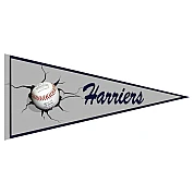 Harriers Wimpel