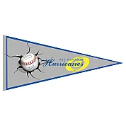 Hilversum Hurricanes Vaantje