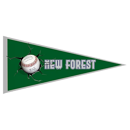 Pennant New Forest Thunderknights