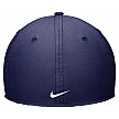 Nike Los Angeles Dodgers Performance Flex Hat