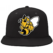 Oldenburg Hornets Cap