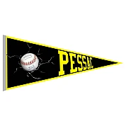 Pessac Pantheres Pennant