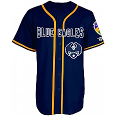 Aquile Azzurre di Ricklingen