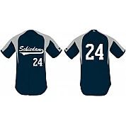 Schiedam Jersey: Steal