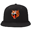 Tampere Tigers Pet