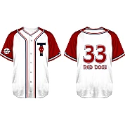 Red Dogs Jersey: Mesh