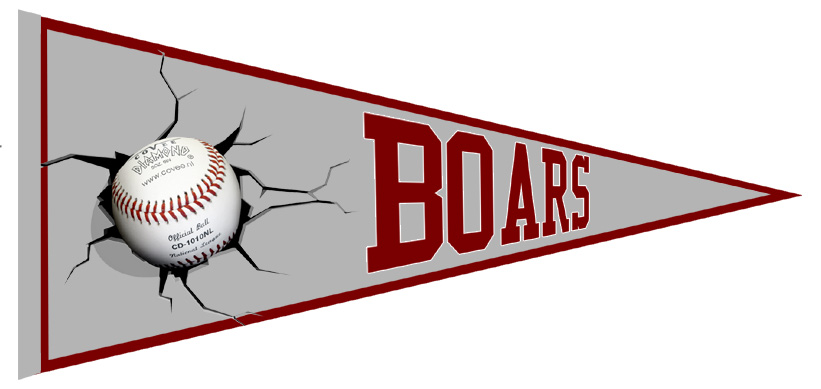 Baldham Boars Vaantje