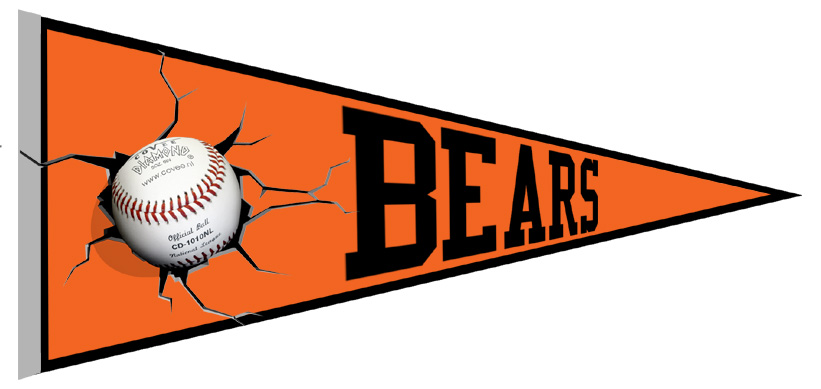Banderin Bears