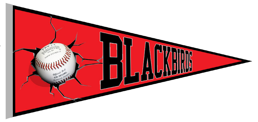 Wolfsburg Blackbirds Vaantje