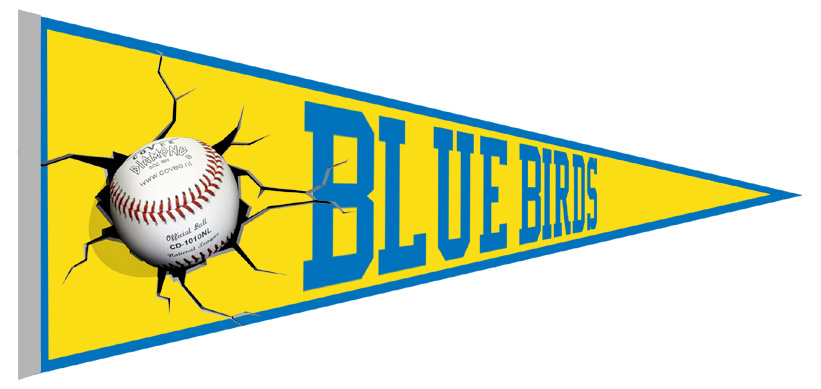 Blue Birds Vaantje