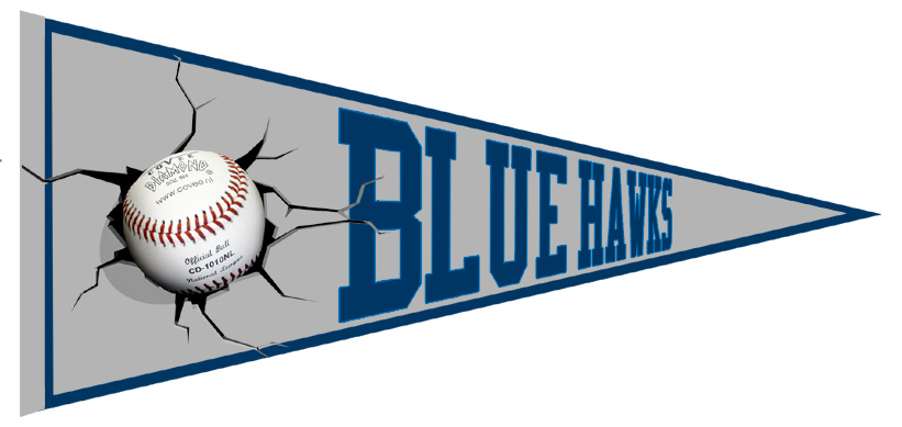 Banderin Blue Hawks