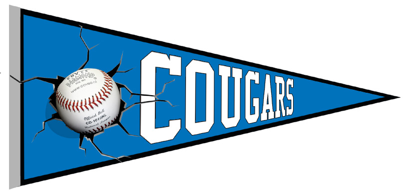 Il gagliardetto dei Cougars di Karlsruhe
