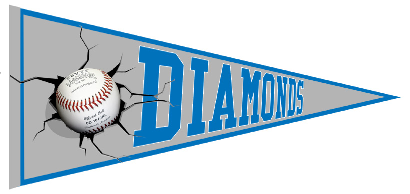 Banderin Drachten Diamonds