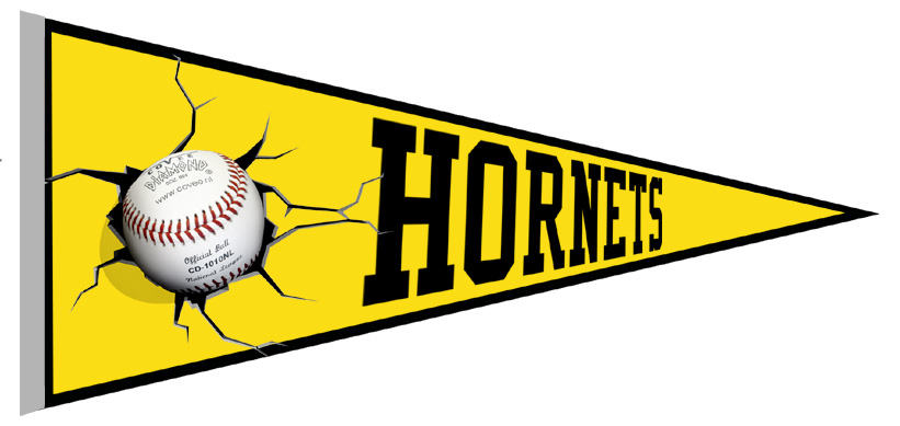 Bad Homburg Hornets Pennant