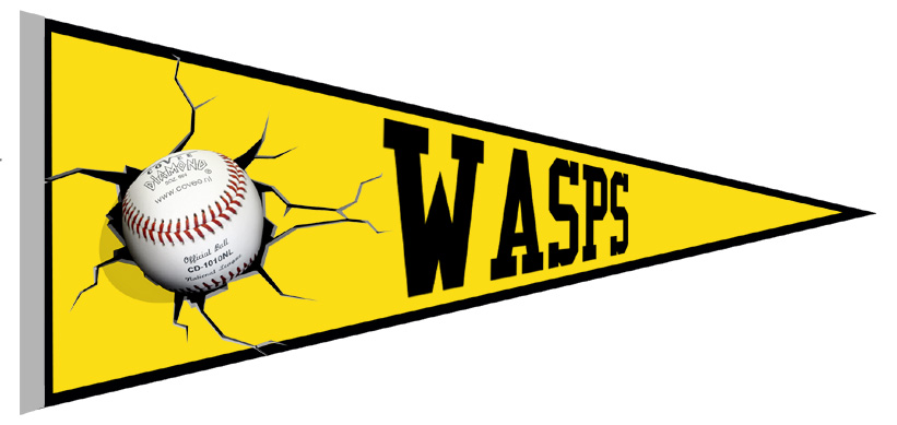 Banderin Romford Wasps