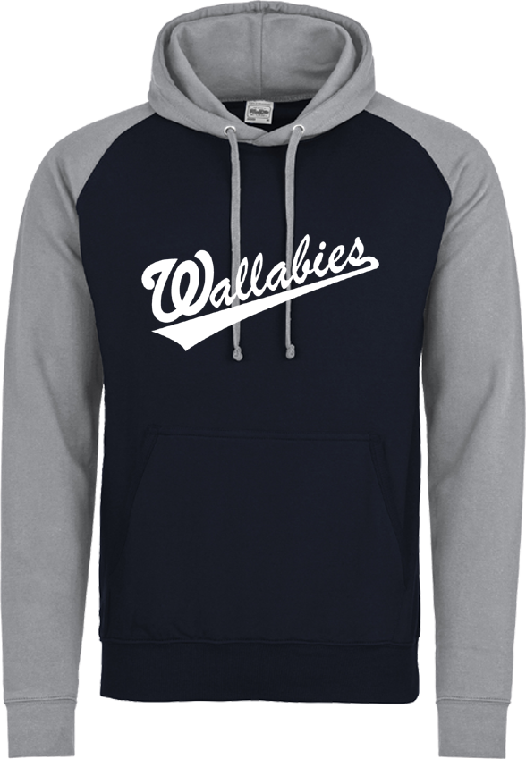 Sudadera con capucha en contrasteDublin Spartans