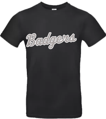Badgers Hoodie