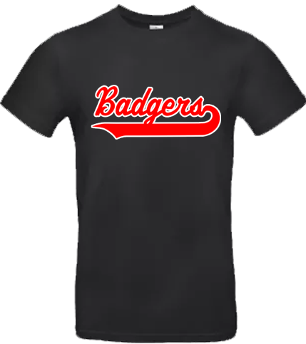 Badgers de besançon Hoody