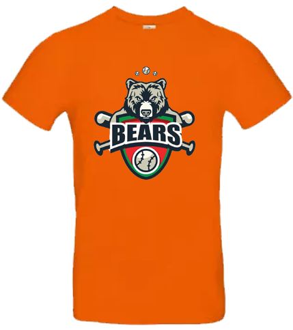 Bears Hoodie