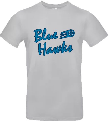 Blue Hawks Hoody