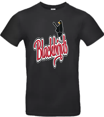 Felpa con cappuccio Wolfsburg Blackbirds