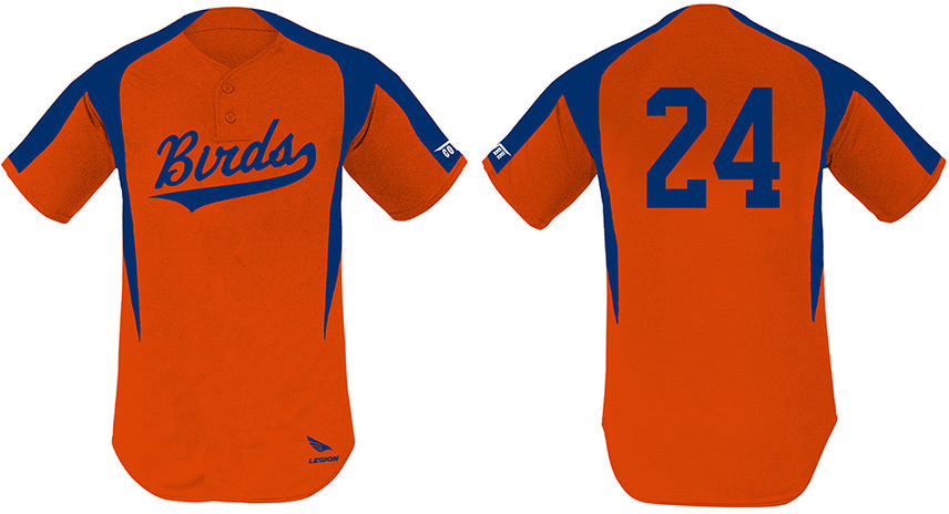 Birds Shirt, 2 Knoopjes: Flatback Mesh