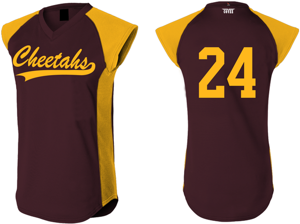 Cheetahs Jersey, Lane: Flatback Mesh