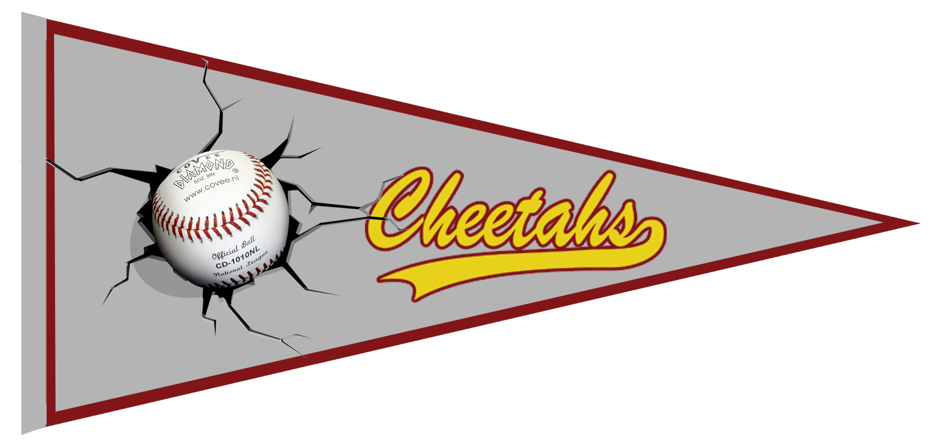Cheetahs Pennant