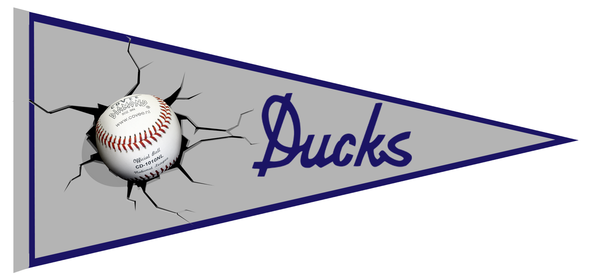 Ducks Pennant