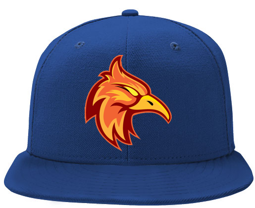 Gorra Firebirds