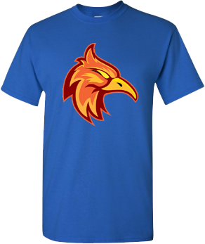 T-Shirt Firebirds
