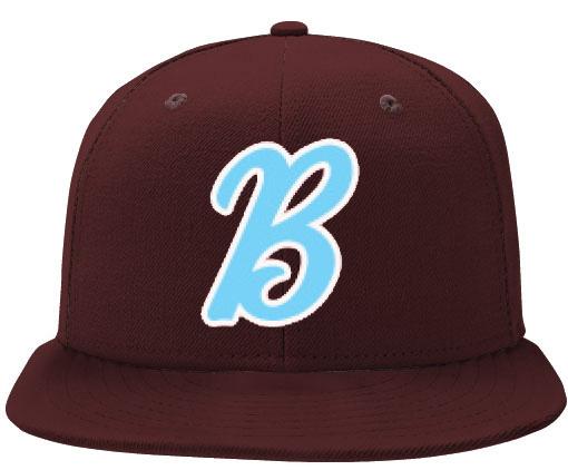 Newton Brewers Cap