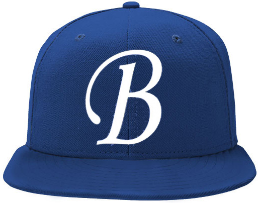 Brawlers Cap