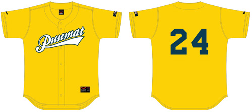 Camisa Puumat, Economica