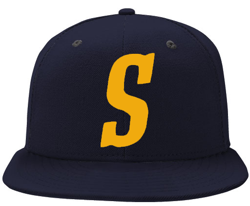Cappello Friesland Seagulls