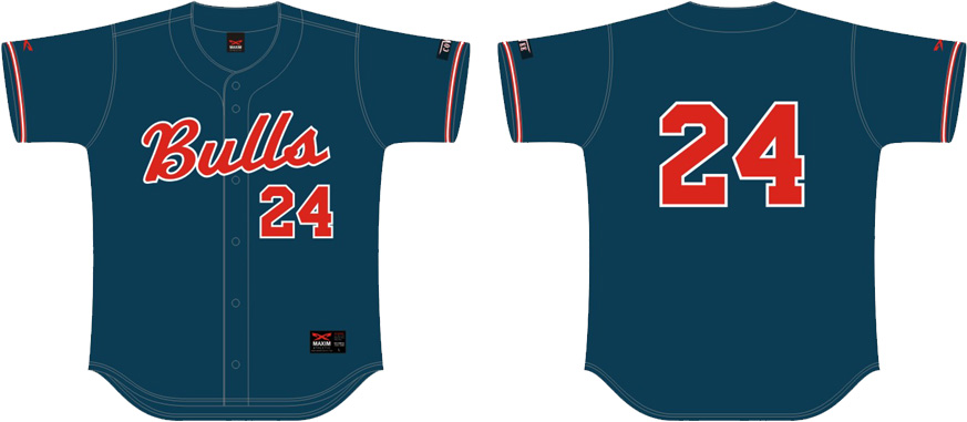 Bulls Jersey, Flatback Mesh
