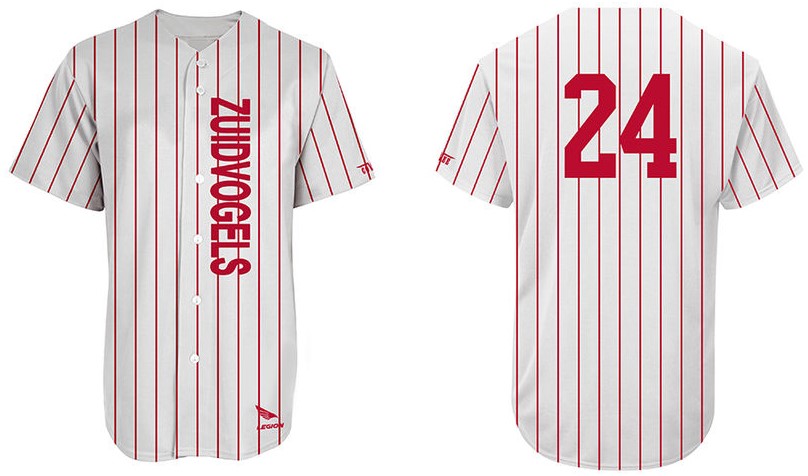 Zuidvogels Jersey