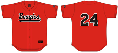 Beagles Shirt, Flatback mesh